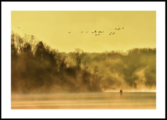 Golden Mist Lone Figure Plakat / 40x50 Golden Mist Lone Figure Plakat / 40x50