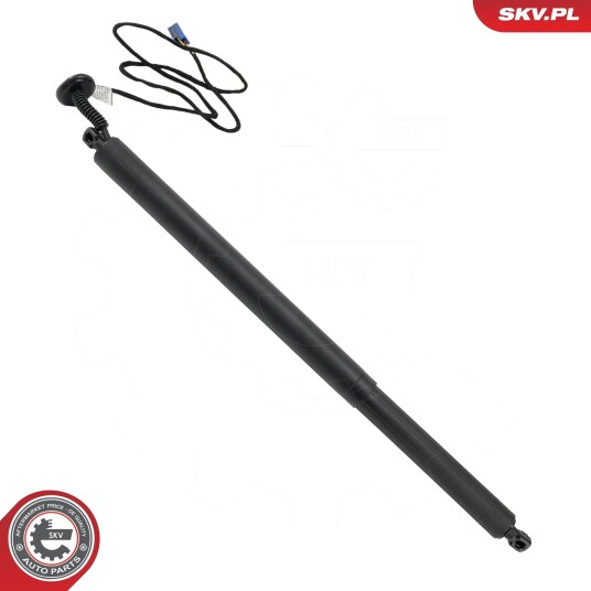 Elektromotor bakluke ESEN SKV 52SKV883