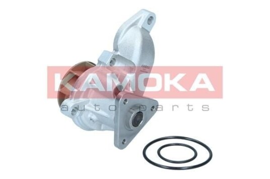 KAMOKA T0315 Vannpumpe