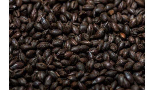 Weyermann Roasted Barley (1000-1300 EBC) Weyermann Roasted Barley (1000-1300 EBC)