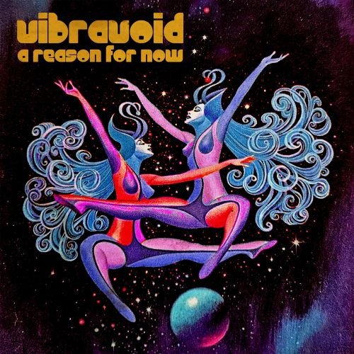 Vibravoid A Reason For Now CD