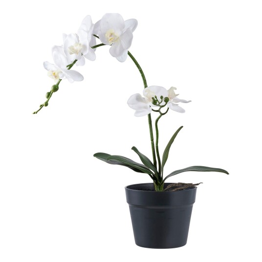 House Nordic Orchide 9501003