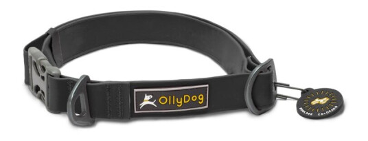 OllyDog Tilden Collar S, Black
