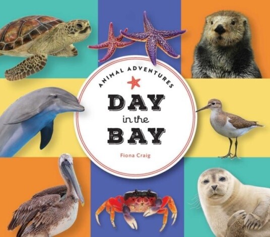 Animal Adventures: Day in the Bay Animal Adventures: Day in the Bay