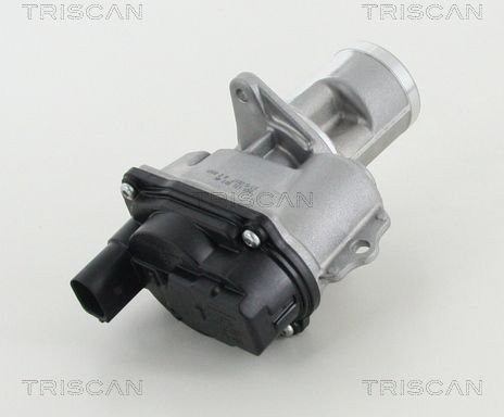 EGR-ventil TRISCAN 8813 29065