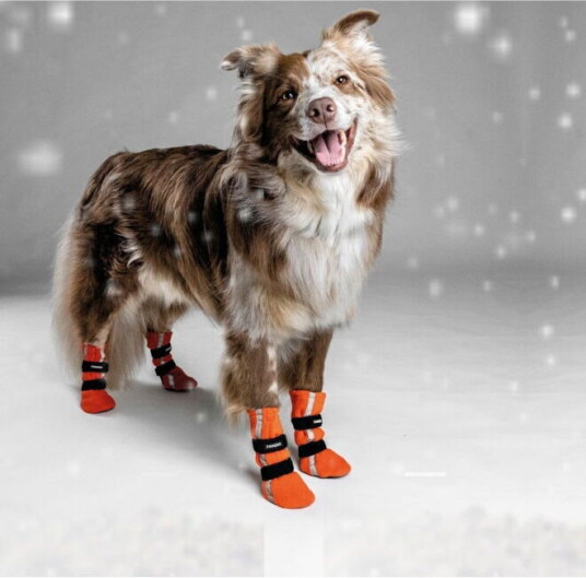 Finnero Halla Reflekterende Potesokker Fleece Oransje XS for Hund Finnero Halla Reflekterende Potesokker Fleece Oransje XS for Hund
