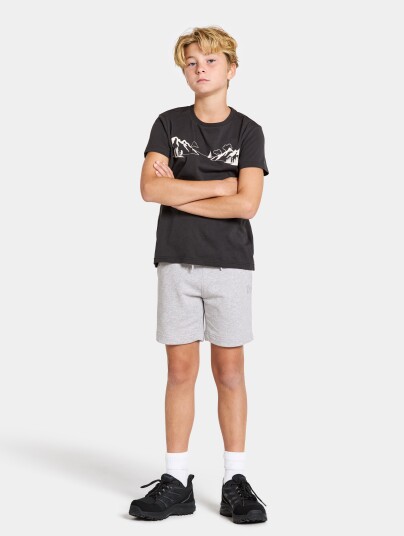 Didriksons Fejan Shorts Aluminum melange 170