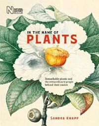 In The Name Of Plants Av Sandra Knapp In The Name Of Plants Av Sandra Knapp