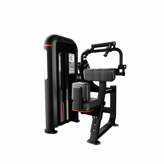 Nautilus Inspiration Tricep Dip Nautilus Inspiration Tricep Dip