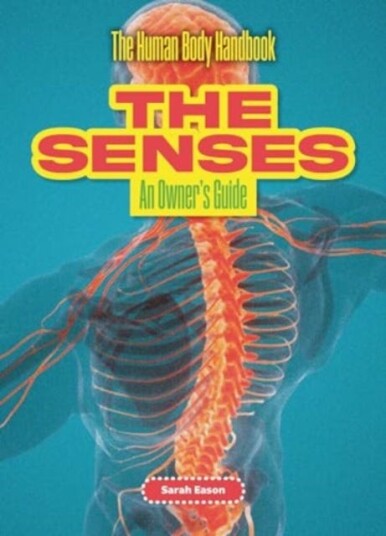 The Senses An Owner's Guide The Senses An Owner's Guide