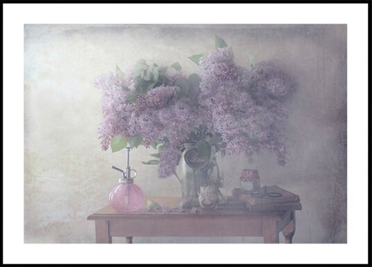 Sweet Lilacs Plakat / 40x50cm