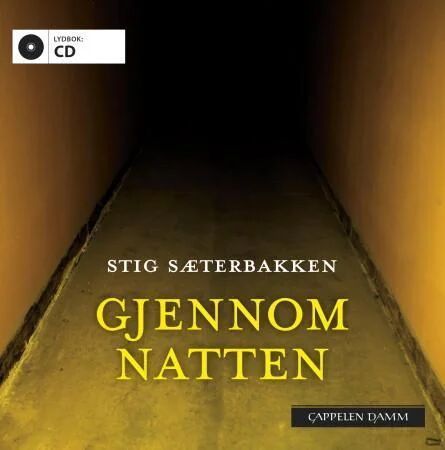 Gjennom Natten Av Stig Sæterbakken