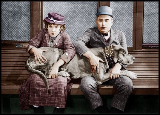 Dog in Lap Plakat Plakat / 70x100cm