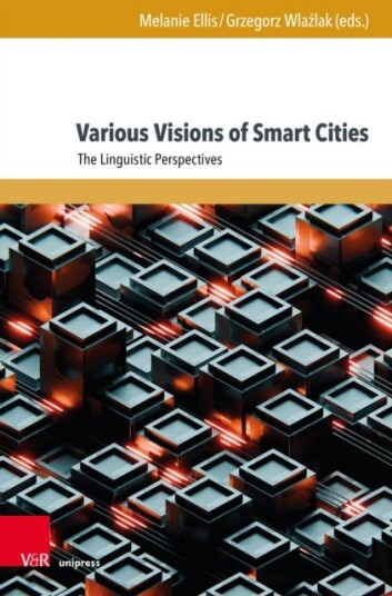 Various Visions of Smart Cities  The Linguistic Perspectives