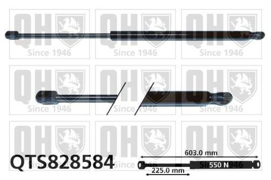 Baklukedemper QUINTON HAZELL QTS828584