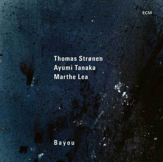 Thomas Stronen Bayou Vinyl