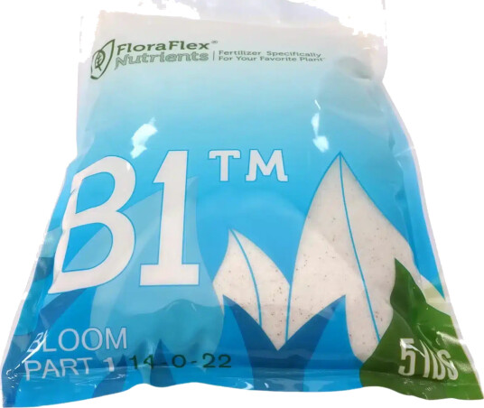 B1 Bloom – Part 1