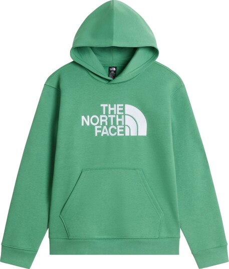 The North Face Hettegenser   Teen TNF Essential   Dempede alger   The North Face   14 16 år (164 176)   Hettegenser   Grønn