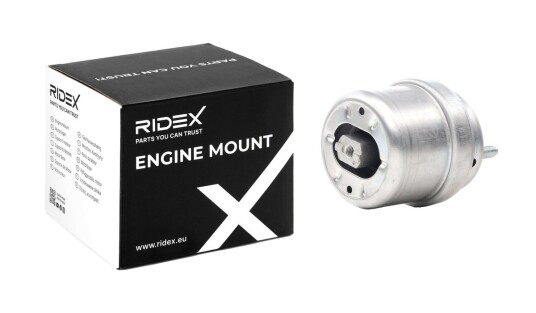 Motorfeste RIDEX 247E0313