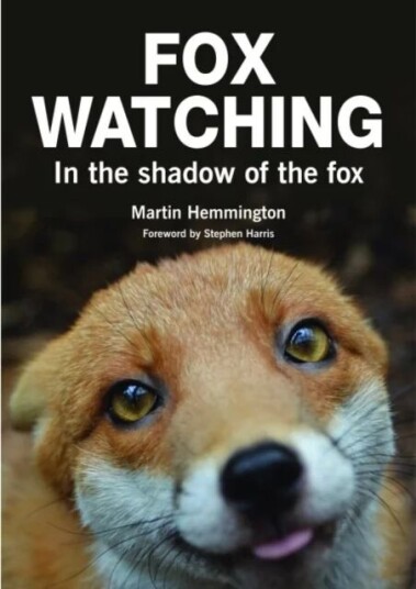 Fox Watching Av Martin Hemmington