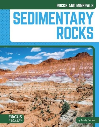 Sedimentary Rocks Sedimentary Rocks