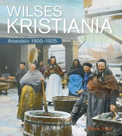 Wilses Kristiania Av Beate Muri