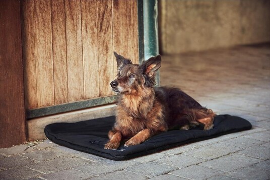 CATAGO FIR-Tech Pro hundeseng med infrarød varme 90x60 cm CATAGO FIR-Tech Pro hundeseng med infrarød varme 90x60 cm