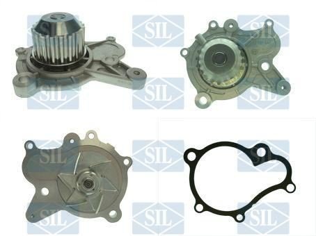 Saleri SIL PA1454 Vannpumpe