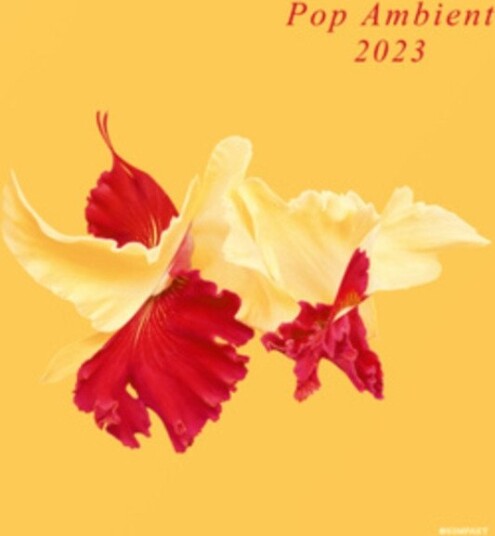 Diverse Artister Pop Ambient 2023 Uk Vinyl