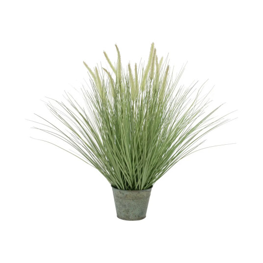 Europalms Ornamental Blooming Grass 70cm Europalms Ornamental Blooming Grass 70cm