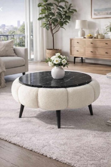Coffee Table Homitis -