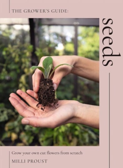 Seeds Av Milli Proust