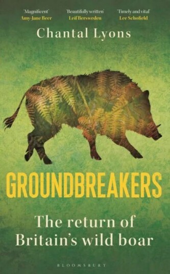 Groundbreakers Av Chantal Lyons