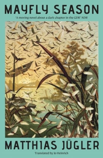 Mayfly Season Mayfly Season