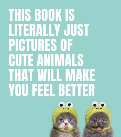 This Book Is Literally Just Pictures Of Cute Animals That Will Make You Feel Better Av Smith Street Books