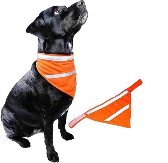 Oransj Refleks Bandana Skjerf For Hund