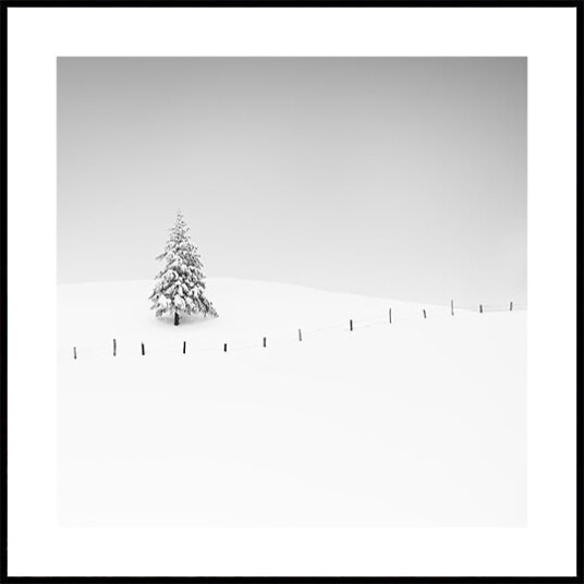 Placeholder Plakat Plakat / 50x50cm Placeholder Plakat Plakat / 50x50cm