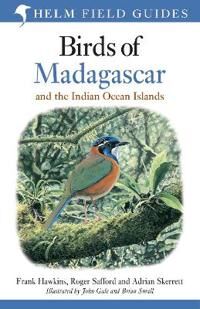 Birds Of Madagascar And The Indian Ocean Islands Av Roger Safford, Adrian Skerrett, Frank Hawkins