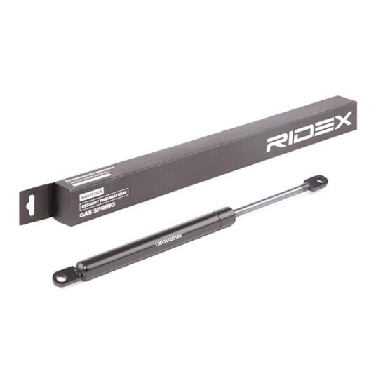 Baklukedemper RIDEX 219G0700 Baklukedemper RIDEX 219G0700