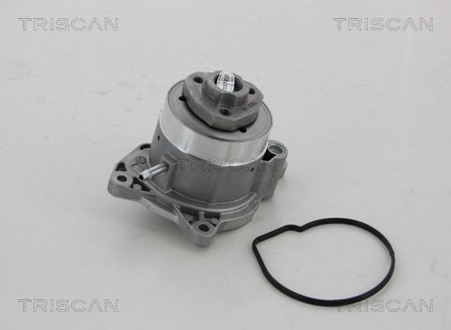 Vannpumpe TRISCAN 8600 29056