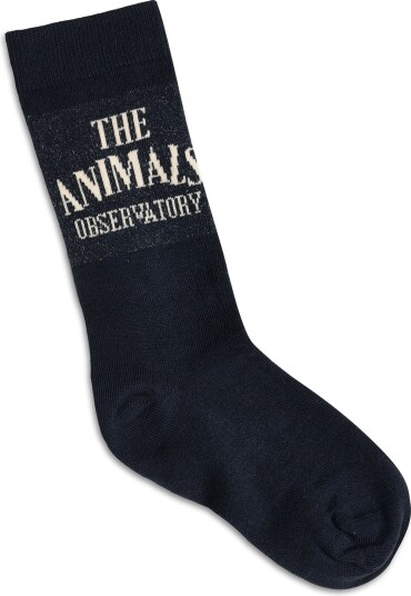 THE ANIMALS OBSERVATORY Snail Kid Socks   Navy   35/38
