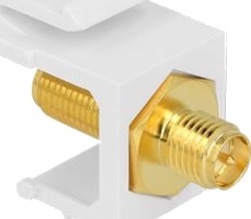 Delock Modulinnlegg Rp-Sma Hvit