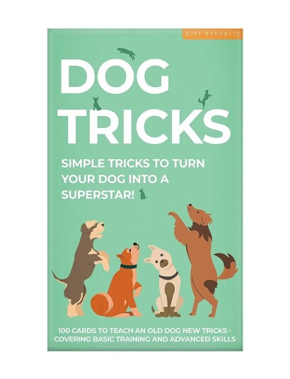 Gift Republic Hundetricks Kortpakke Green Gift Republic Hundetricks Kortpakke Green