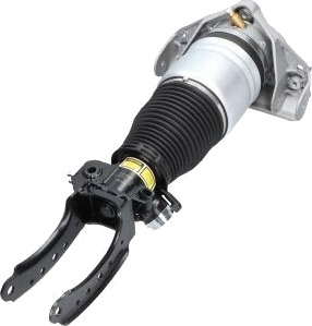 Luftdempere KAVO PARTS SAS-10032