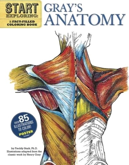 Start Exploring: Gray's Anatomy av Freddy Stark Start Exploring: Gray's Anatomy av Freddy Stark