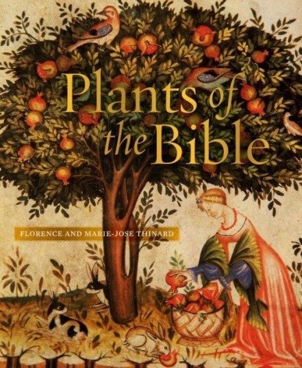 Plants of the Bible Plants of the Bible