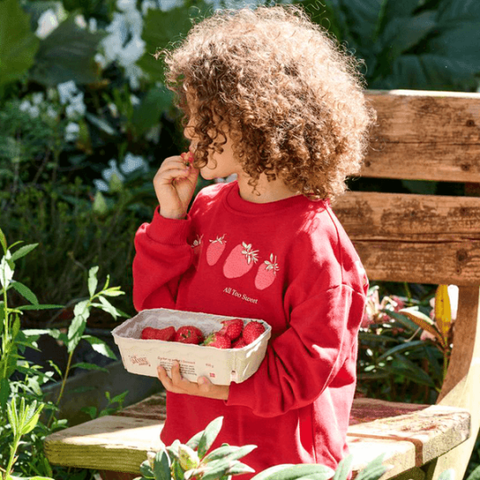 Kids Only Kmggeorgia sweatshirt til småbarn Barbados Cherry 92