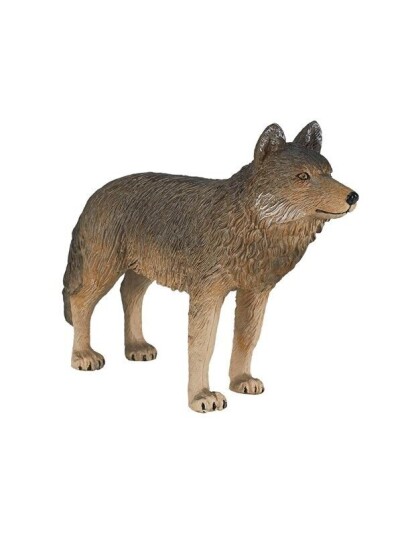 Mojo   Wildlife Timber Wolf Standing