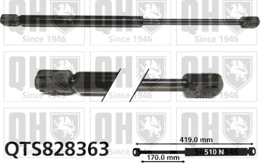 QUINTON HAZELL QTS828363 Baklukedemper