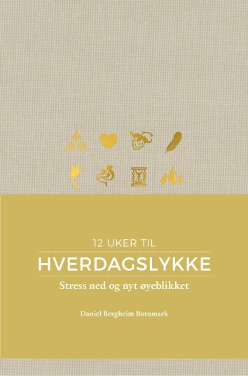 Daniel Bergheim Hverdagslykke – Praktiske Øvelser for Livsglede